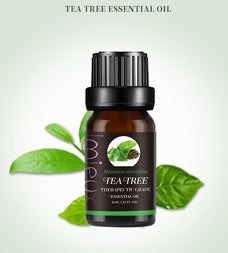 Tea tree essential oil bottle with leaves on a light gray background